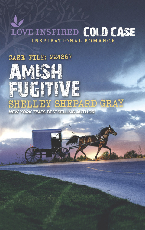 Cover image for book Amish Fugitive