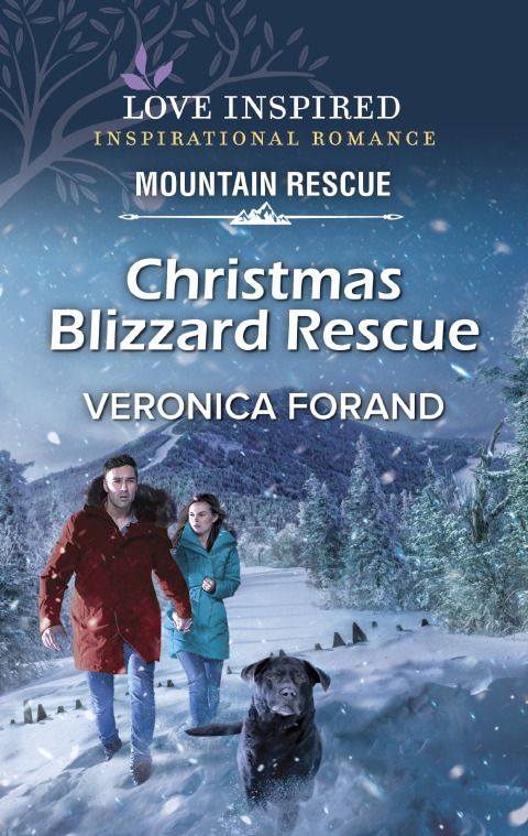 Cover image for book Christmas Blizzard Rescue