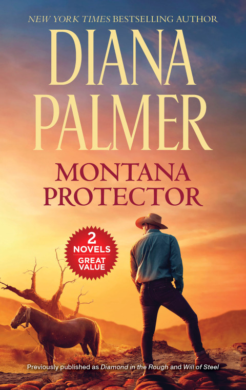 Cover image for book Montana Protector