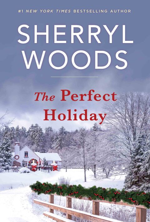 Cover image for book The Perfect Holiday