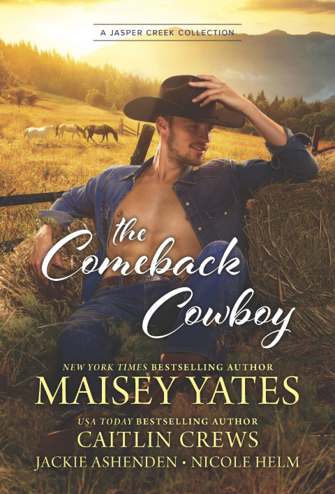 Cover image for book The Comeback Cowboy