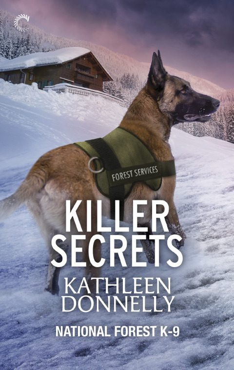 Cover image for book Killer Secrets