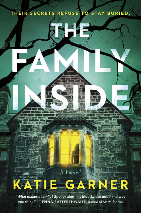 Cover image for book The Family Inside
