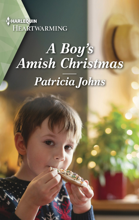 Cover image for book A Boy's Amish Christmas