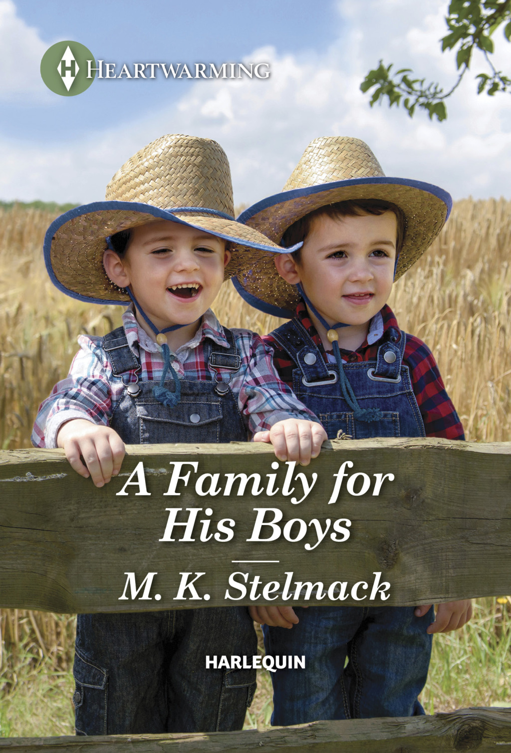 Reflowable A Family for His Boys; $5.54