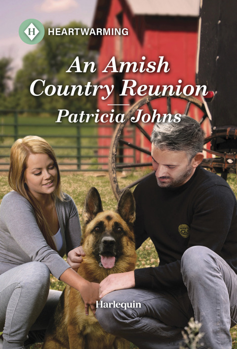 Cover image for book An Amish Country Reunion