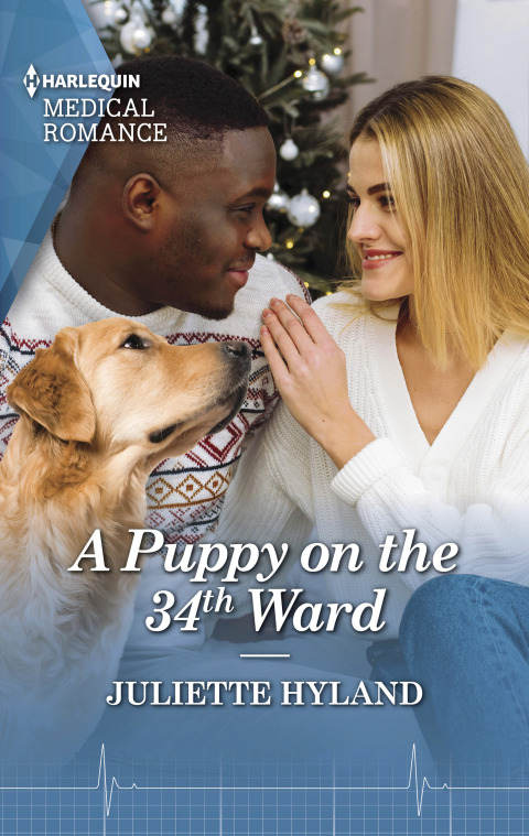 Cover image for book A Puppy on the 34th Ward