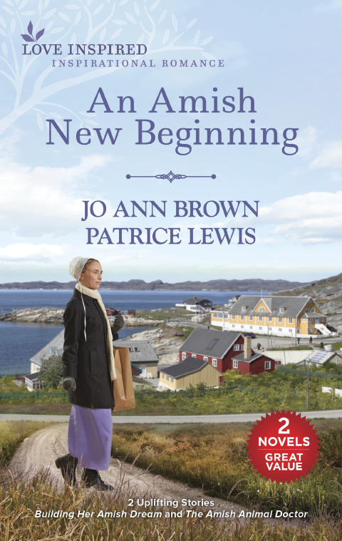 Cover image for book An Amish New Beginning