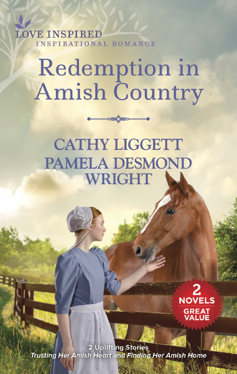 Cover image for book Redemption in Amish Country