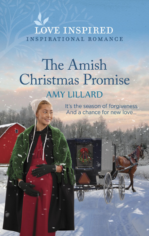Cover image for book The Amish Christmas Promise