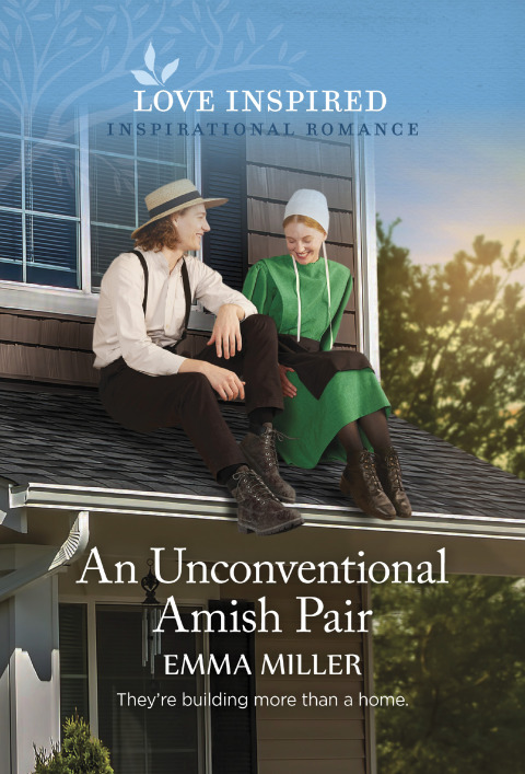 Cover image for book An Unconventional Amish Pair