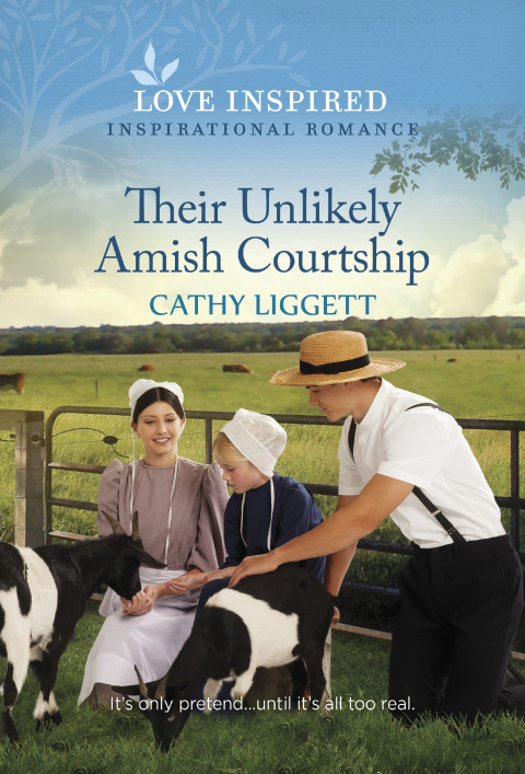 Cover image for book Their Unlikely Amish Courtship