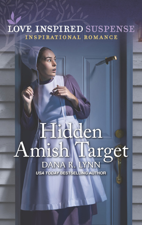 Cover image for book Hidden Amish Target