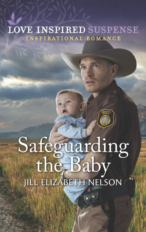 Cover image for book Safeguarding the Baby