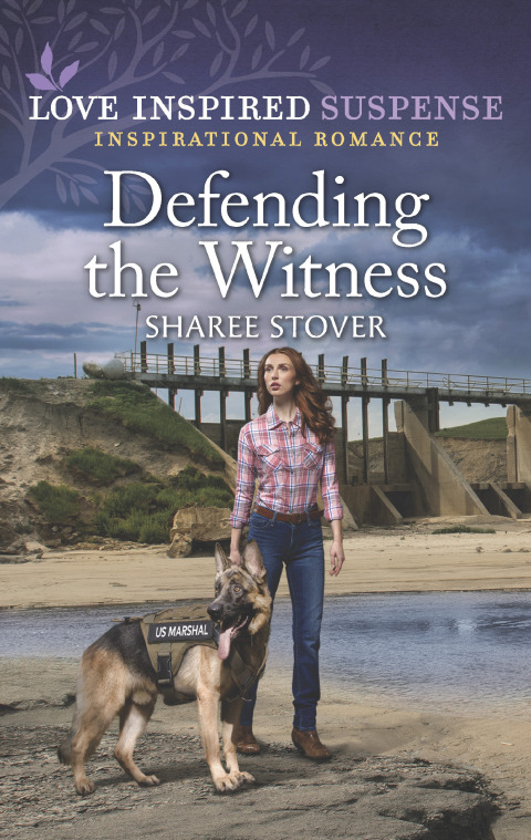 Cover image for book Defending the Witness