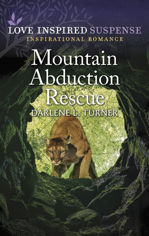 Cover image for book Mountain Abduction Rescue
