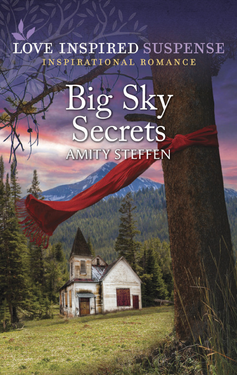 Cover image for book Big Sky Secrets