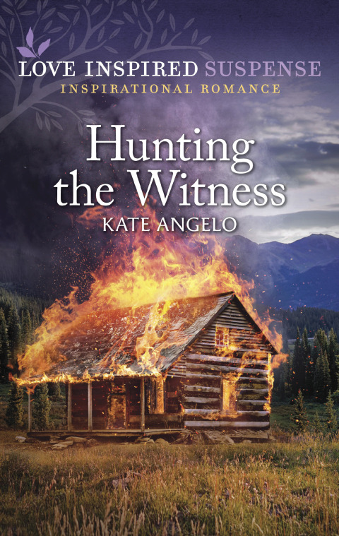 Cover image for book Hunting the Witness