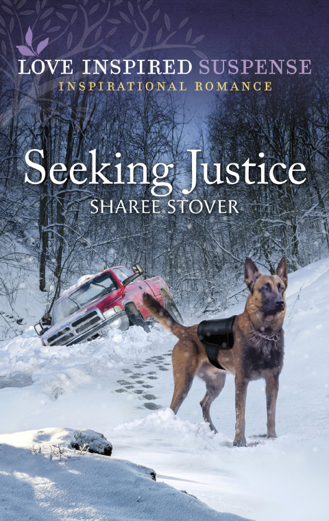 Cover image for book Seeking Justice