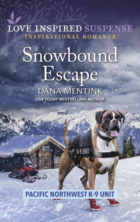 Cover image for book Snowbound Escape
