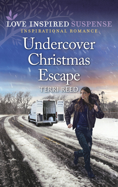 Cover image for book Undercover Christmas Escape