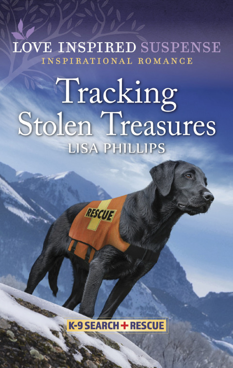 Cover image for book Tracking Stolen Treasures