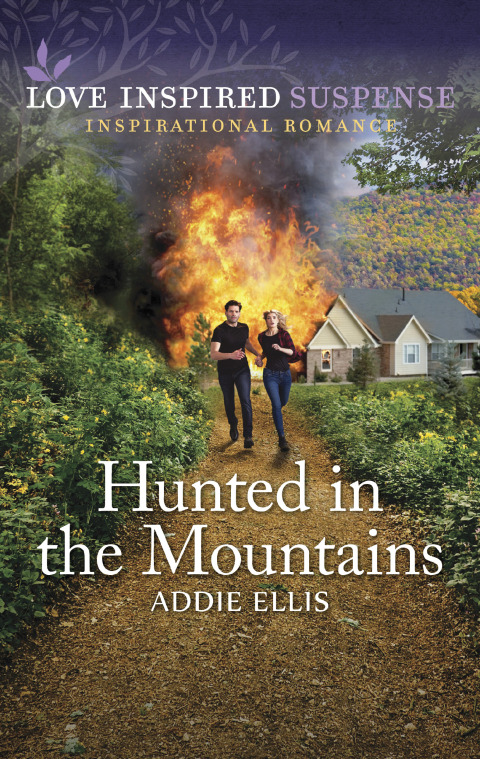 Cover image for book Hunted in the Mountains