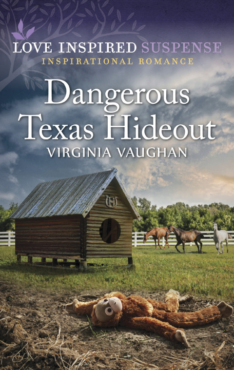Cover image for book Dangerous Texas Hideout