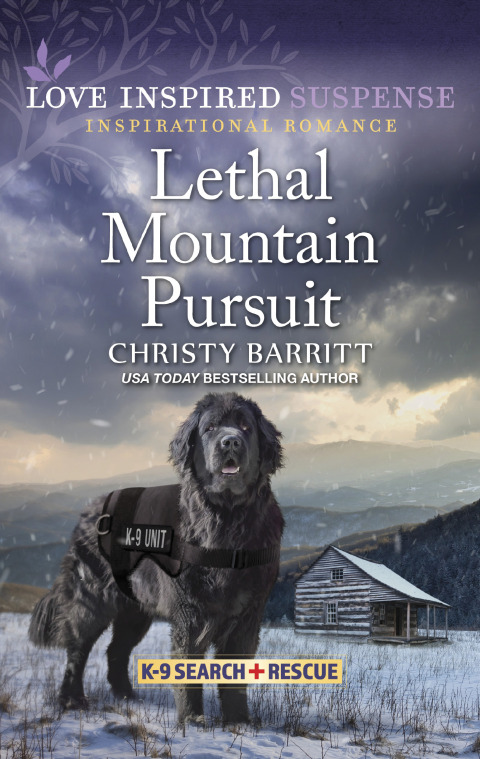 Cover image for book Lethal Mountain Pursuit