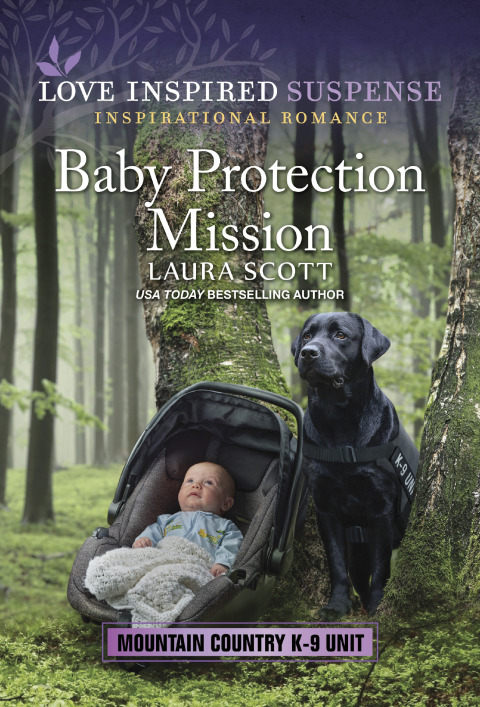 Cover image for book Baby Protection Mission
