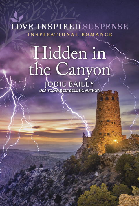 Cover image for book Hidden in the Canyon