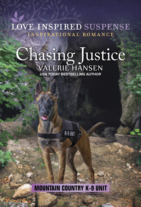 Cover image for book Chasing Justice