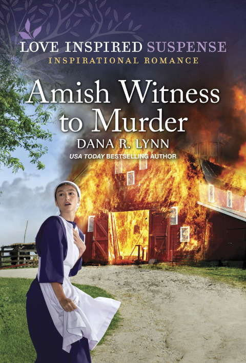 Cover image for book Amish Witness to Murder