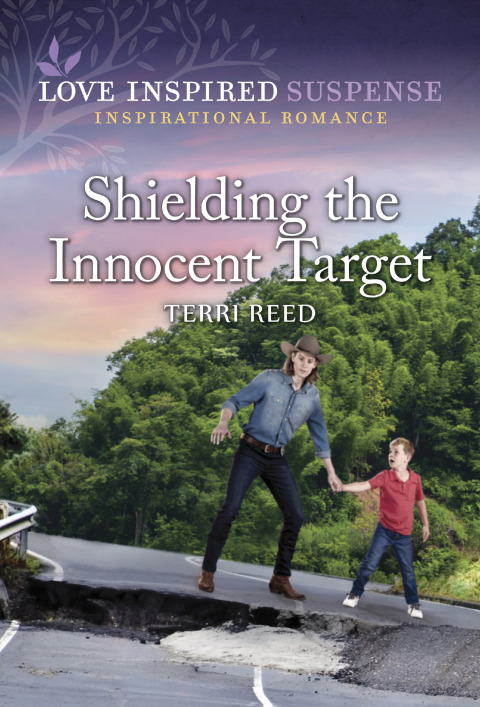 Cover image for book Shielding the Innocent Target