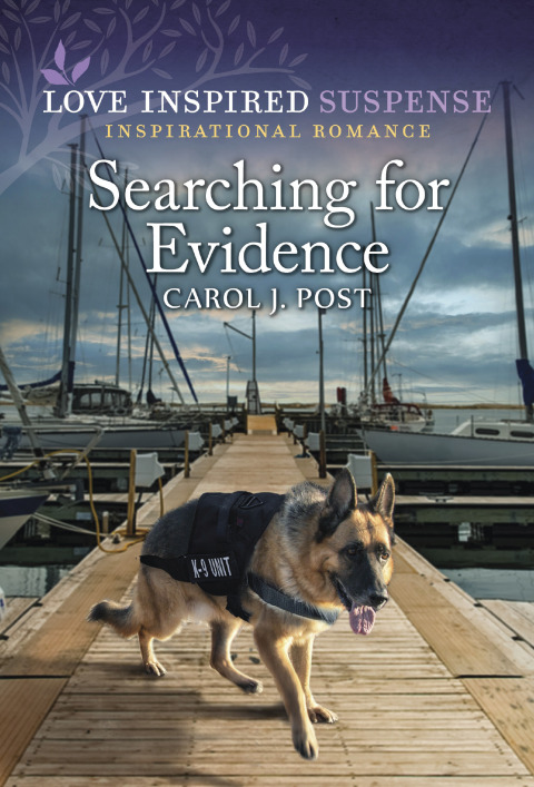 Cover image for book Searching for Evidence