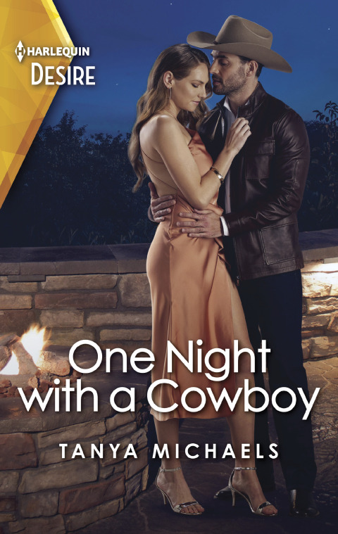 Cover image for book One Night with a Cowboy