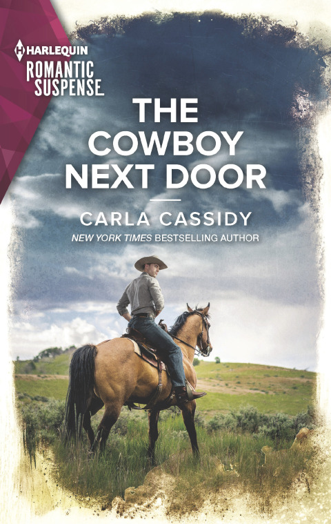 Cover image for book The Cowboy Next Door