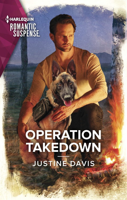 Cover image for book Operation Takedown