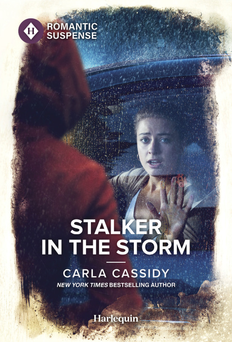 Cover image for book Stalker in the Storm