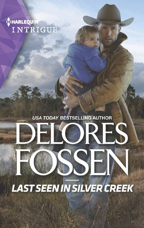 Cover image for book Last Seen in Silver Creek