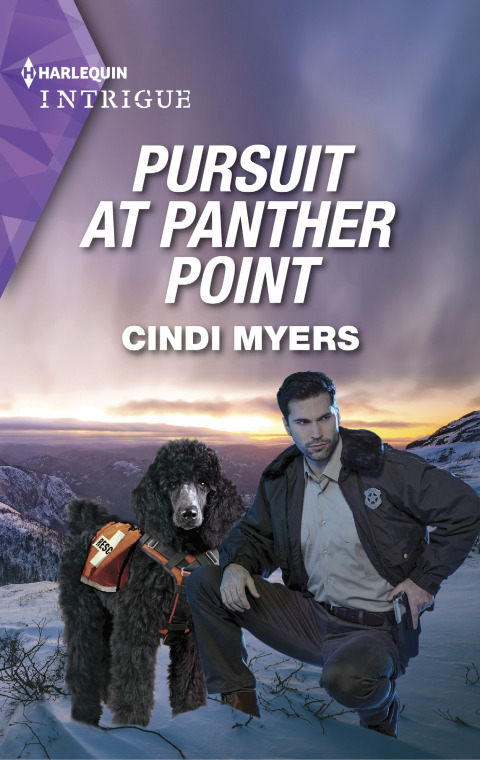 Cover image for book Pursuit at Panther Point