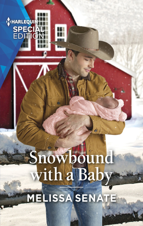 Cover image for book Snowbound with a Baby