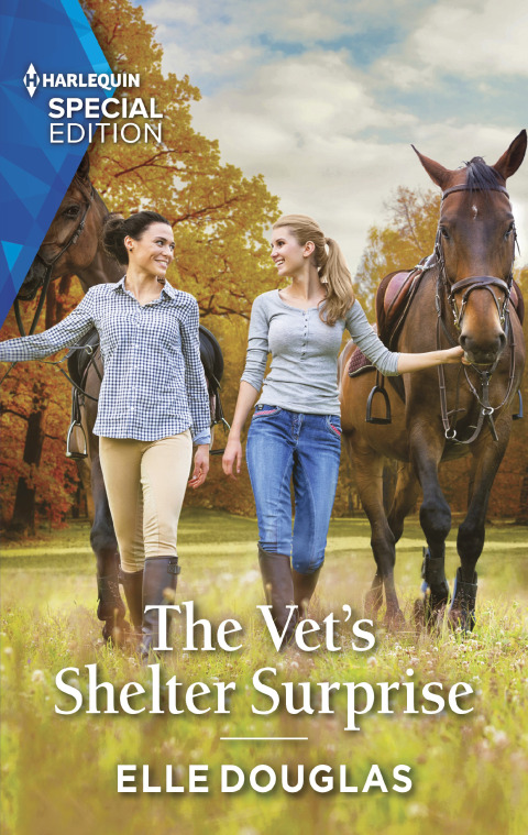 Cover image for book The Vet's Shelter Surprise