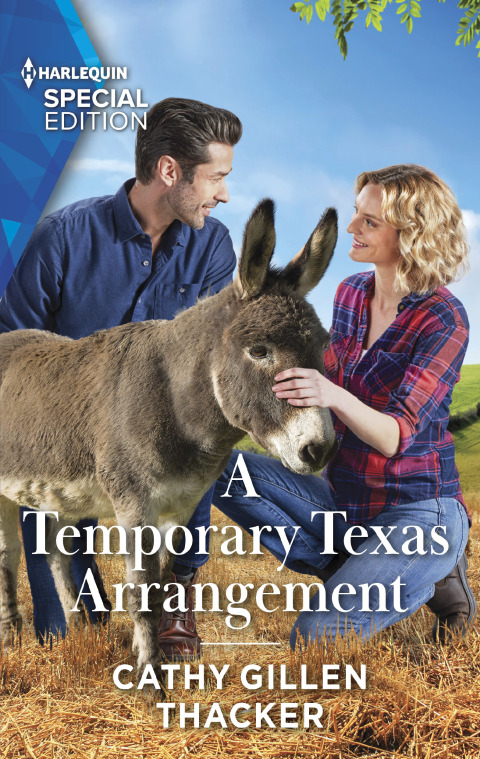 Cover image for book A Temporary Texas Arrangement