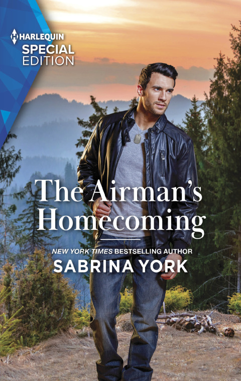 Cover image for book The Airman's Homecoming