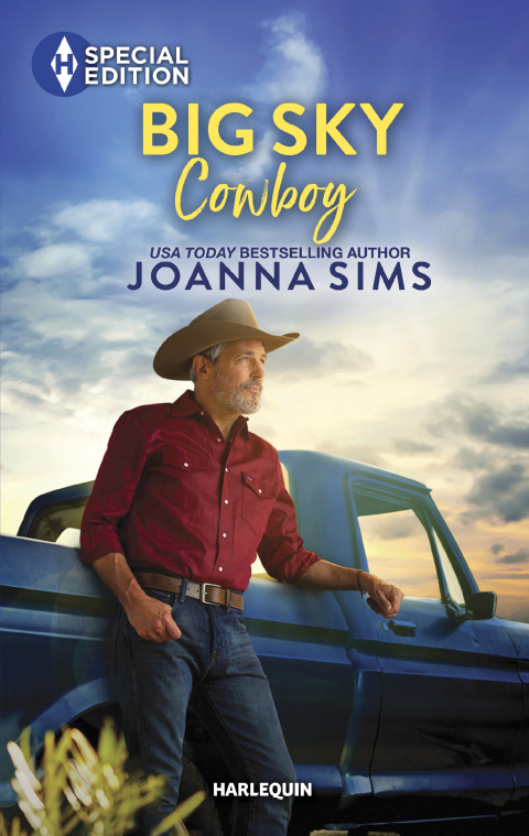 Cover image for book Big Sky Cowboy