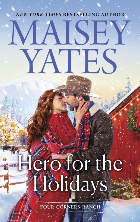Cover image for book Hero for the Holidays