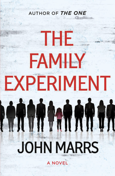 Cover image for book The Family Experiment