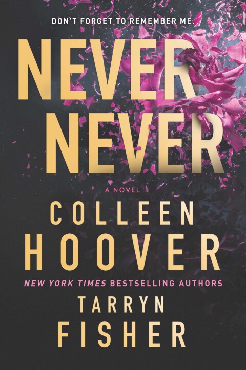 Cover image for book Never Never