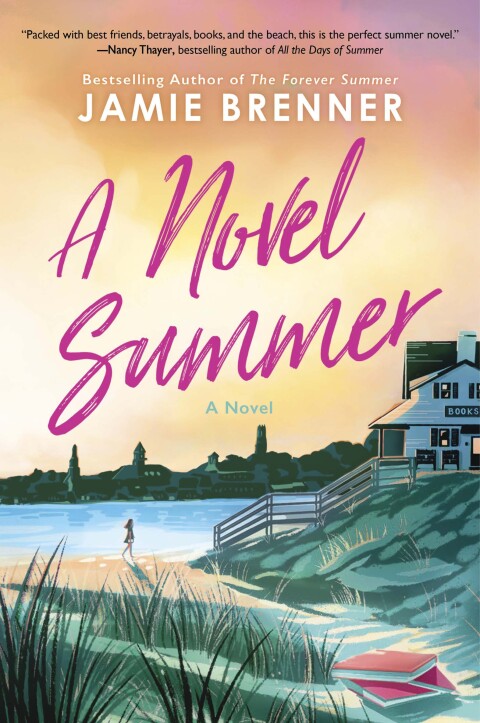 Cover image for book A Novel Summer